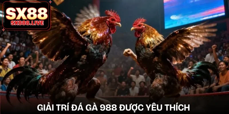 Đá Gà 988 | Cẩm Nang Cho Người Chơi Mới Muốn Thử Sức - WAVIN.GAMES