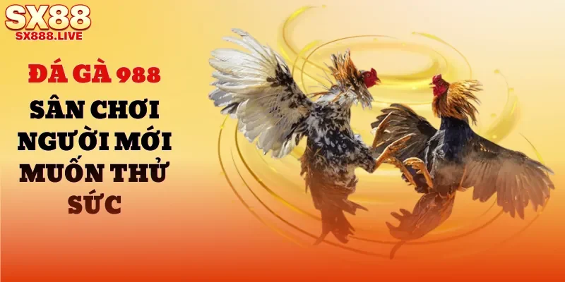 Đá Gà SX88 - Cá Cược Mang Tính Gay Cấn, Mãn Nhãn - WAVIN.GAMES