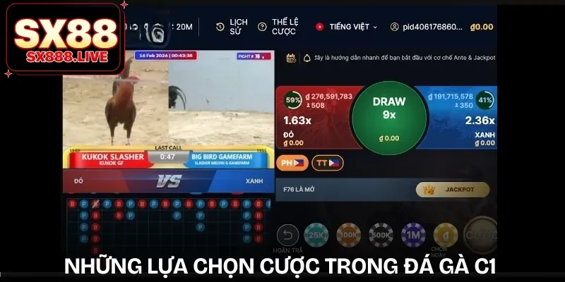 Đá Gà C1 Châu Âu - Trải Nghiệm Đỉnh Cao Tầm Quốc Tế - WAVIN.GAMES