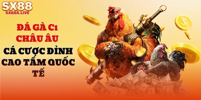 Đá Gà SX88 - Cá Cược Mang Tính Gay Cấn, Mãn Nhãn - WAVIN.GAMES