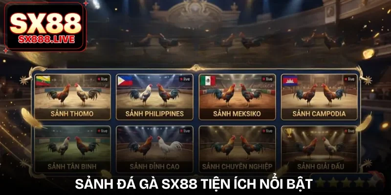 Đá Gà SX88 - Cá Cược Mang Tính Gay Cấn, Mãn Nhãn - WAVIN.GAMES