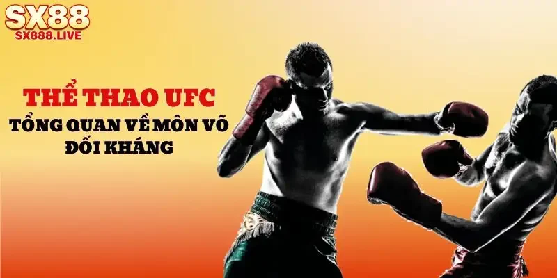 Đua Xe Đạp Cup - Hình Thức Giải Trí Kiểu Mới - WAVIN.GAMES