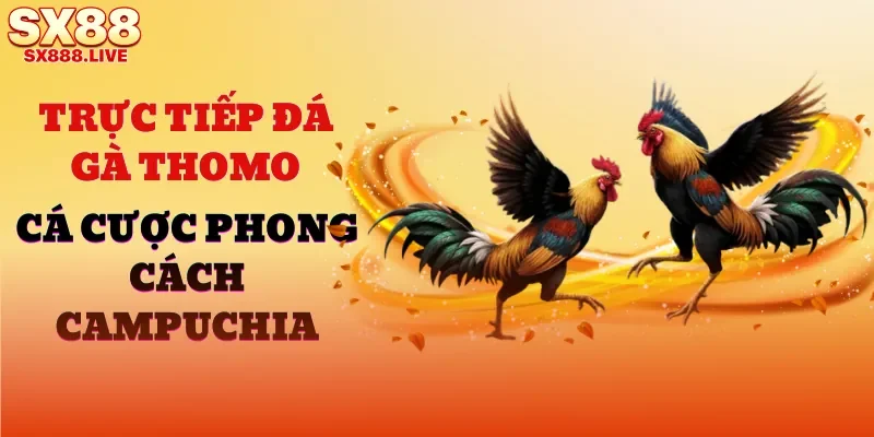Đá Gà SX88 - Cá Cược Mang Tính Gay Cấn, Mãn Nhãn - WAVIN.GAMES
