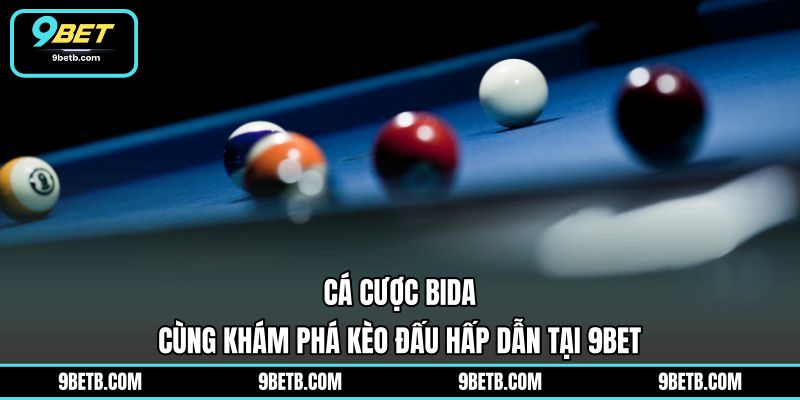 Cá Cược Bida - Cùng Khám Phá Kèo Đấu Hấp Dẫn Tại 9BET - 9BET - WAVIN.GAMES