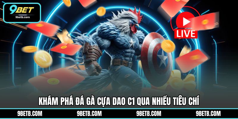 Đá Gà Cựa Dao C1 - Theo Dõi Trận Đấu Hấp Dẫn Tại 9BET - 9BET - WAVIN.GAMES