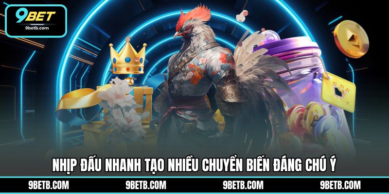 Đá Gà Cựa Dao C1 - Theo Dõi Trận Đấu Hấp Dẫn Tại 9BET - 9BET - WAVIN.GAMES