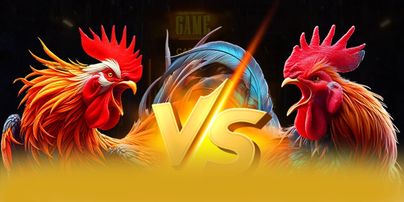 8XBET - Cong tro choi duoc danh gia cao tai Viet Nam - wavin.games - WAVIN.GAMES