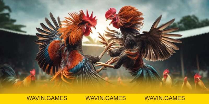8XBET - Cổng trò chơi được yêu thích nhất số 1 Việt Nam - wavin.games - WAVIN.GAMES