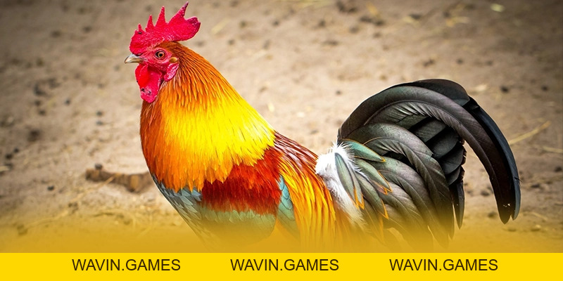 GOOD88 - Cổng trò chơi được đánh giá cao số 1 Việt Nam - wavin.games - WAVIN.GAMES GOOD88 - Cổng trò chơi được đánh giá cao số 1 Việt Nam - wavin.games - WAVIN.GAMES