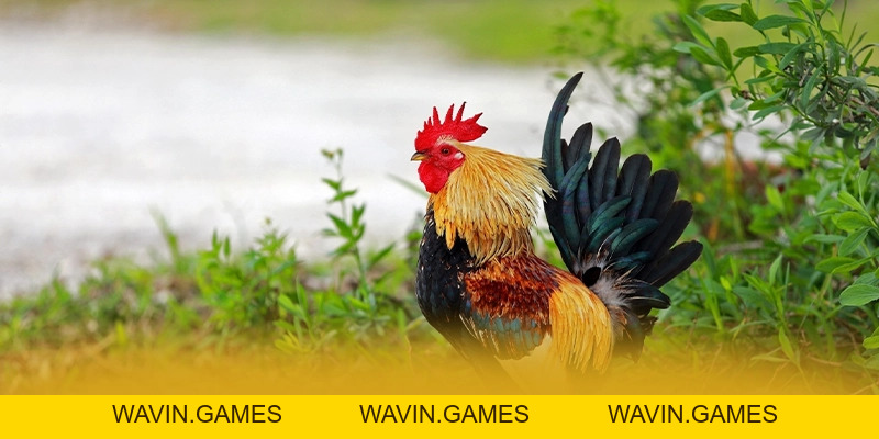 FB88 - Cổng cá cược uy tín số 1 tại Việt Nam - wavin.games - WAVIN.GAMES