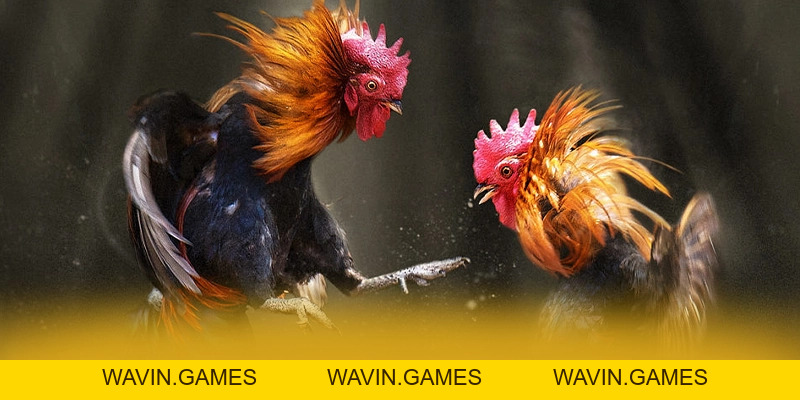 GOOD88 - Cổng trò chơi được đánh giá cao số 1 Việt Nam - wavin.games - WAVIN.GAMES GOOD88 - Cổng trò chơi được đánh giá cao số 1 Việt Nam - wavin.games - WAVIN.GAMES